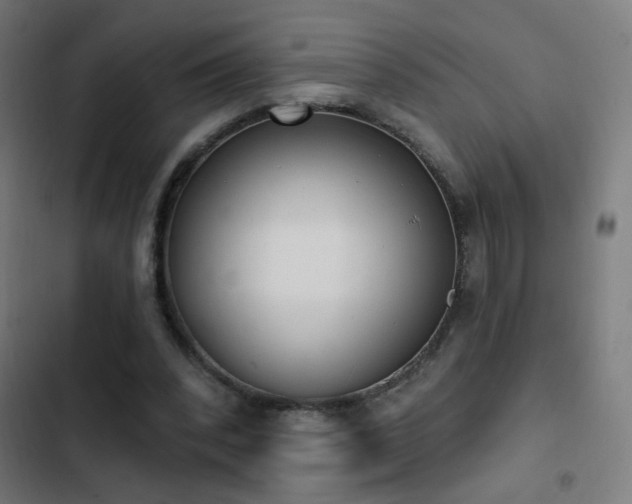 X0000103400392200809121247