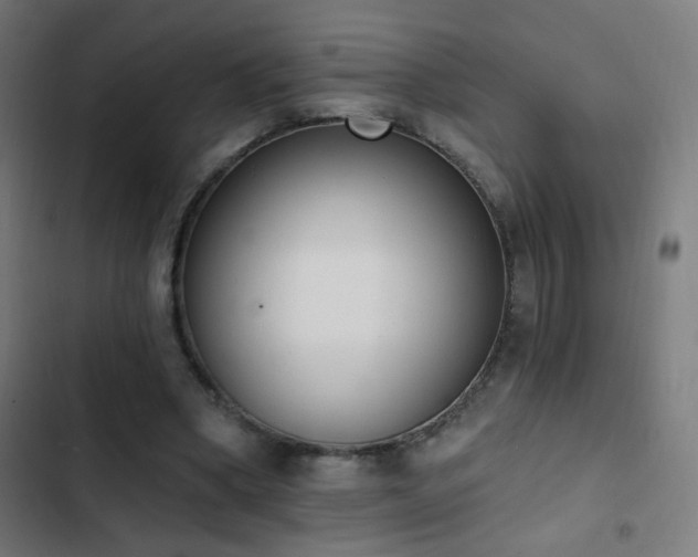 X0000103400394200809121247