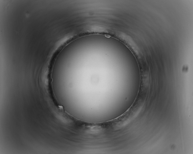 X0000103400395200809121247