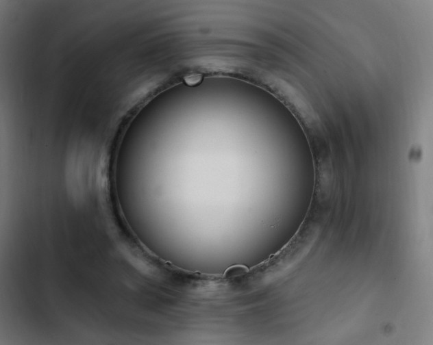 X0000103400398200809121247