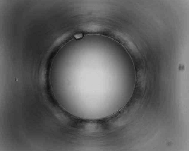 X0000103400400200809121247