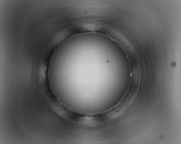 X0000103400406200809121247