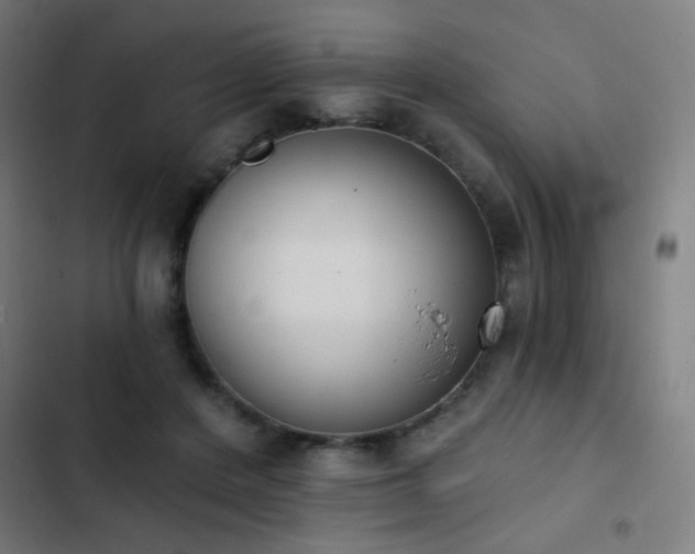 X0000103400408200809121247