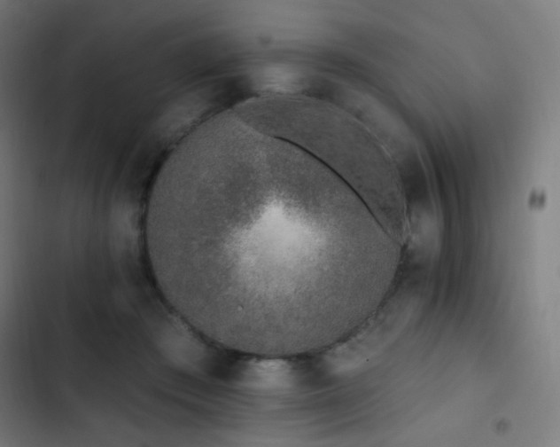 X0000103400409200809121247