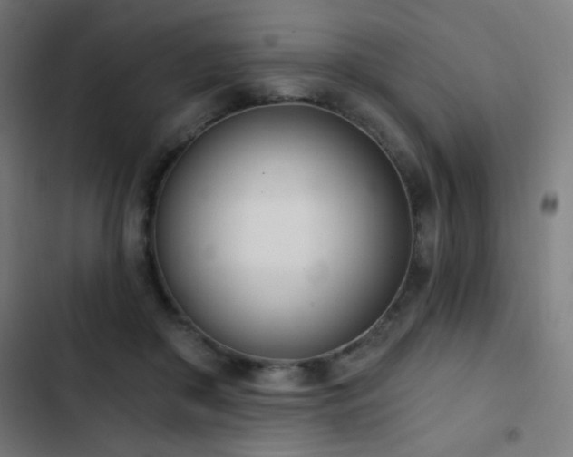 X0000103400410200809121247