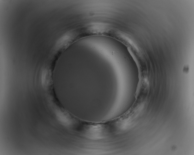 X0000103400411200809121247