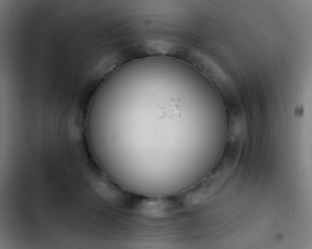 X0000103400414200809121247