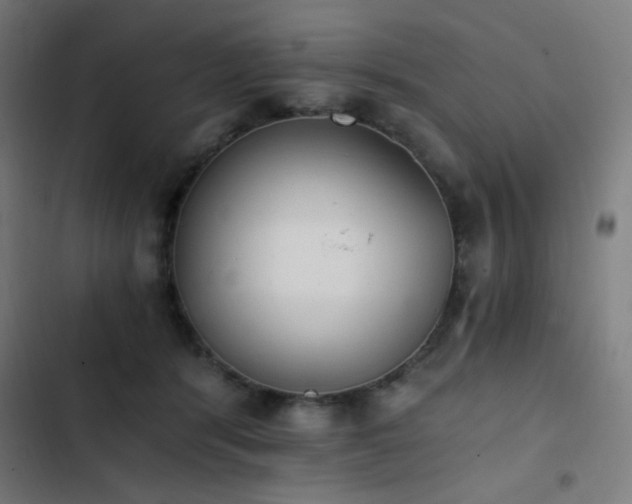 X0000103400416200809121247