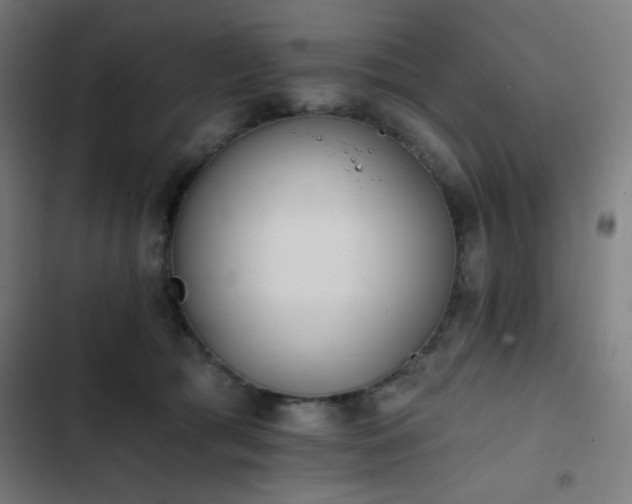 X0000103400417200809121247