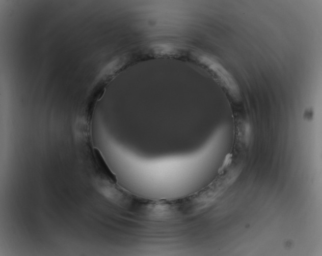 X0000103400419200809121247