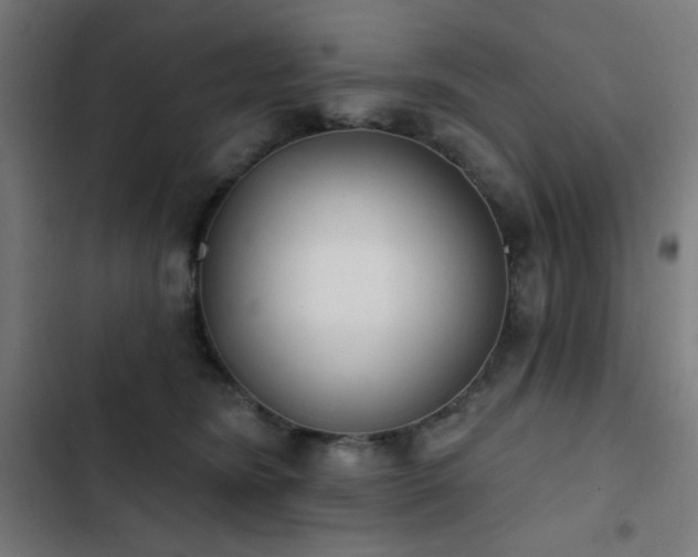 X0000103400420200809121247