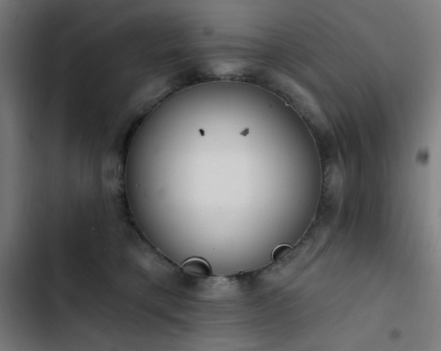 X0000103400421200809121247