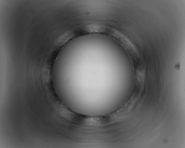 X0000103400422200809121247