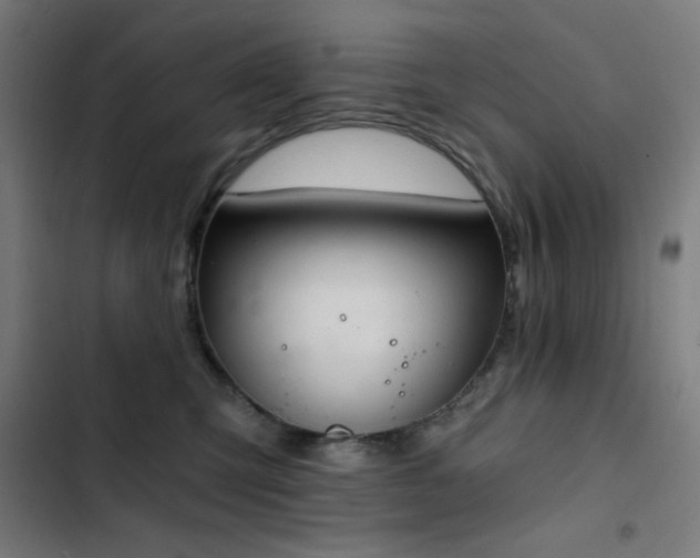 X0000103400423200809121246