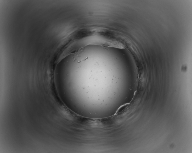 X0000103400424200809121246