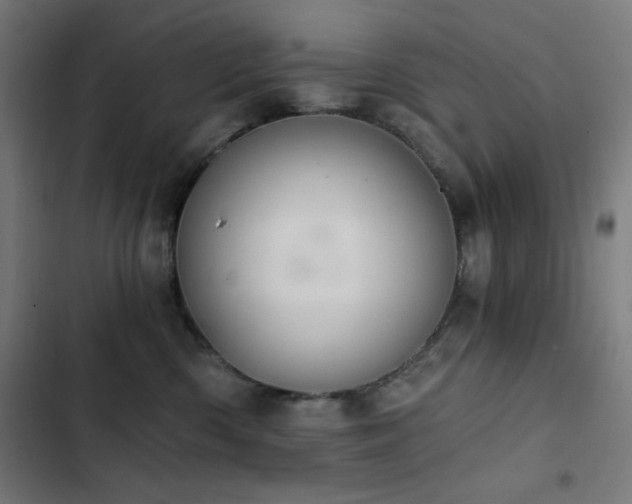 X0000103400426200809121246