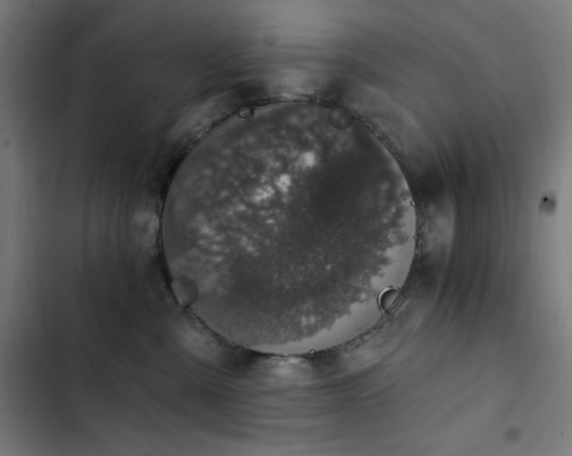 X0000103400427200809121246