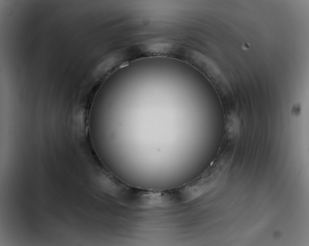 X0000103400428200809121246