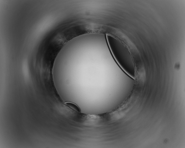 X0000103400429200809121246