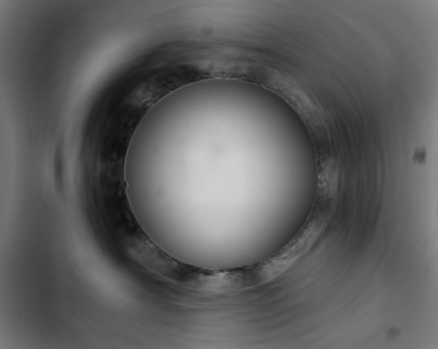 X0000103400430200809121246