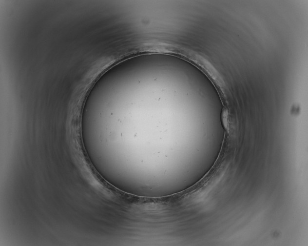 X0000103400433200809121246