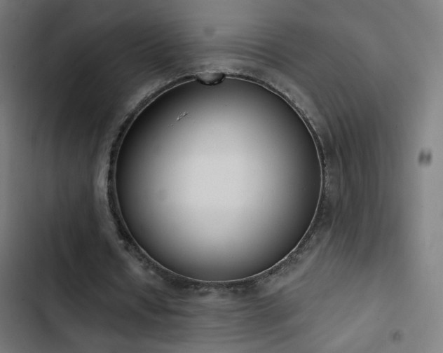 X0000103400434200809121246