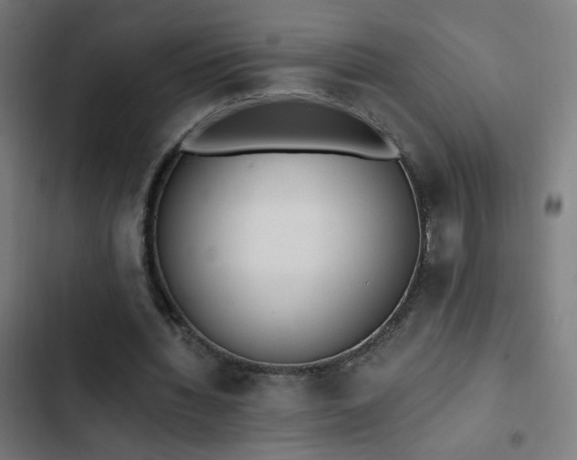 X0000103400436200809121246