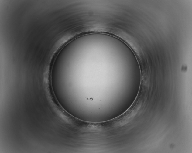 X0000103400437200809121246