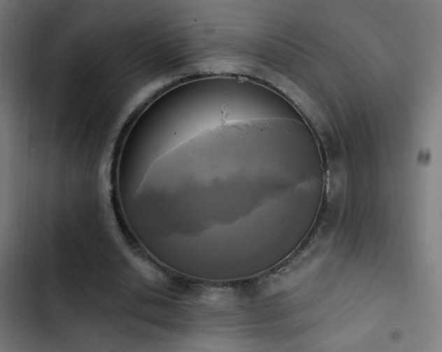 X0000103400438200809121246