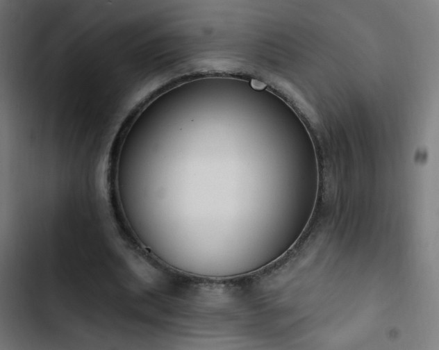 X0000103400439200809121246