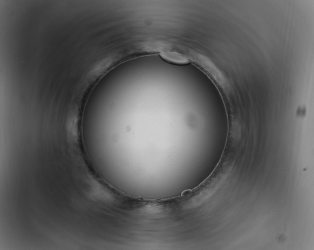 X0000103400441200809121246