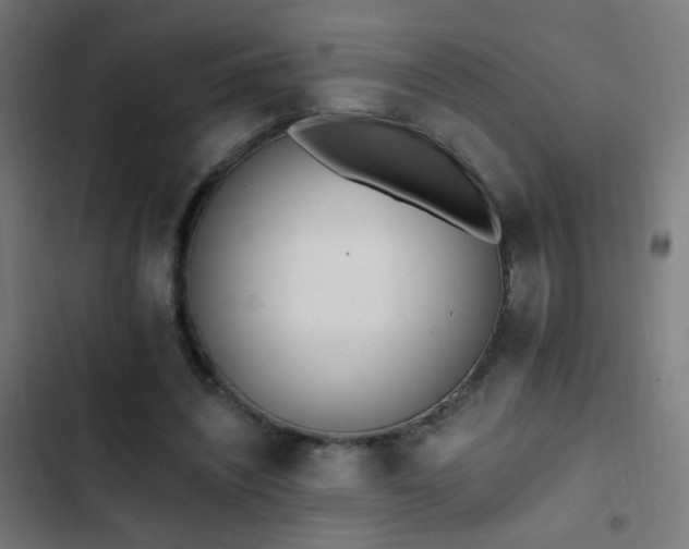 X0000103400444200809121246