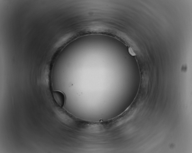 X0000103400446200809121246