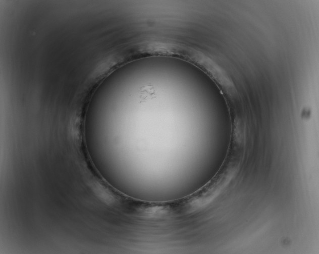 X0000103400449200809121246