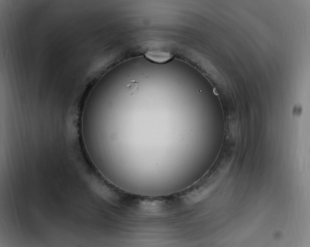 X0000103400450200809121246