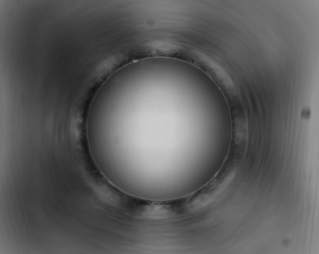 X0000103400451200809121246