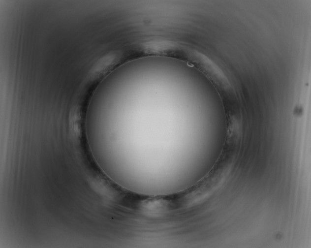 X0000103400452200809121246