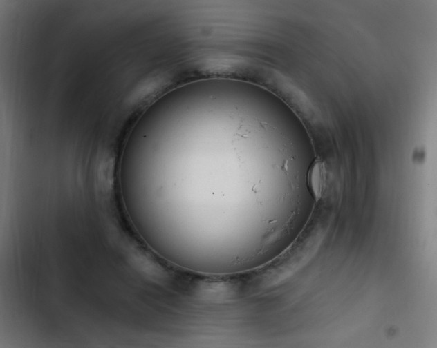 X0000103400454200809121246