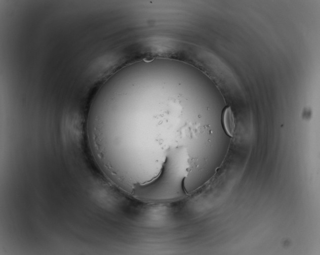 X0000103400456200809121246