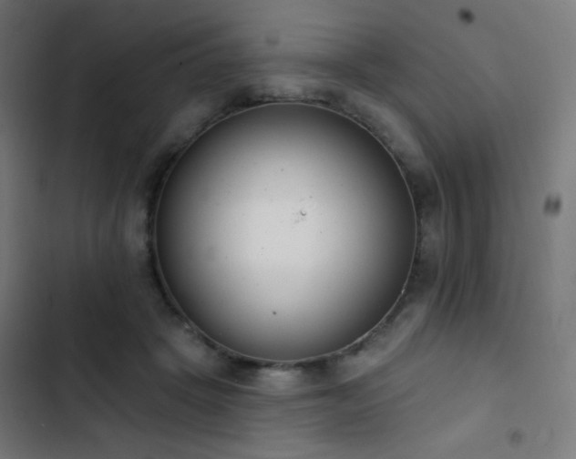 X0000103400457200809121246