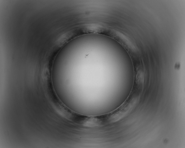 X0000103400459200809121246