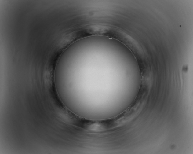 X0000103400460200809121246