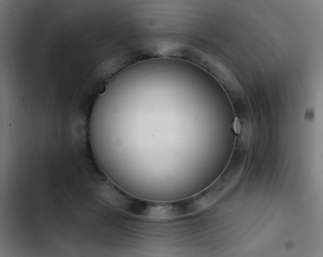 X0000103400461200809121246