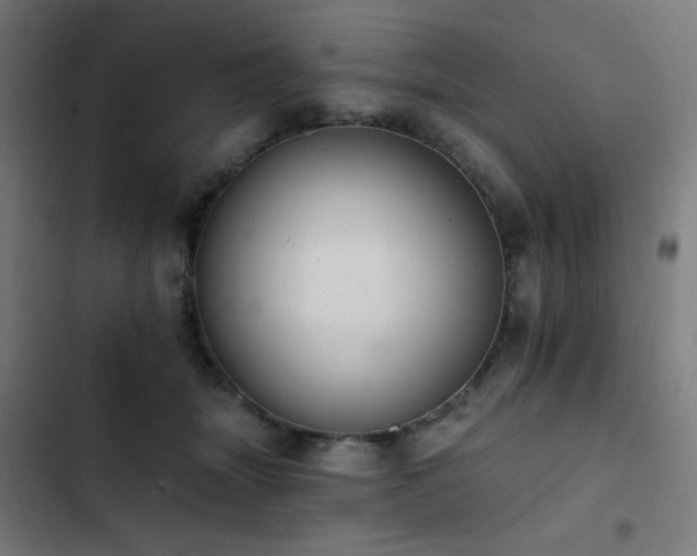 X0000103400463200809121246