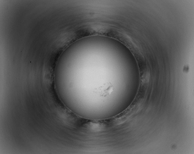 X0000103400464200809121246