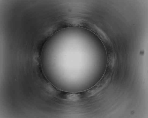 X0000103400465200809121246