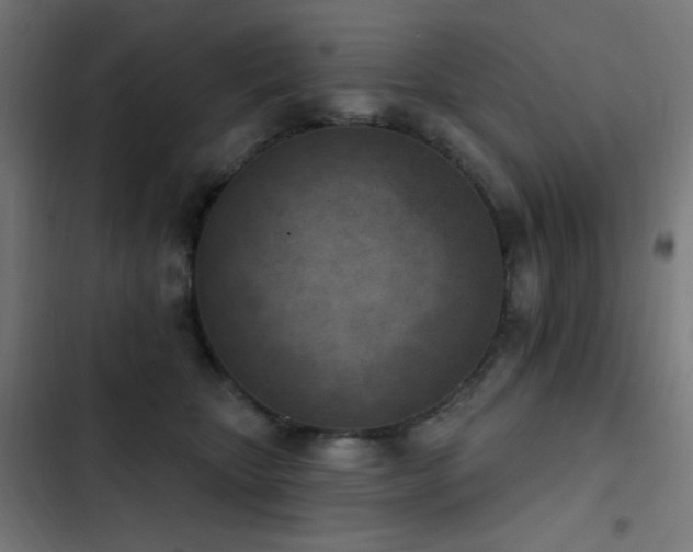 X0000103400467200809121246