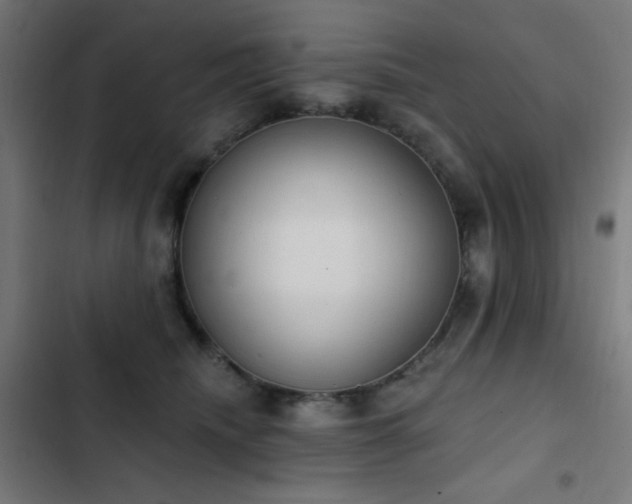 X0000103400468200809121246