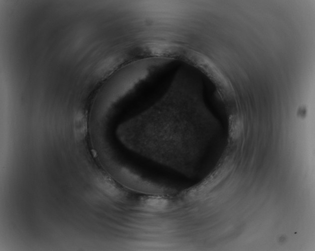 X0000103400471200809121246