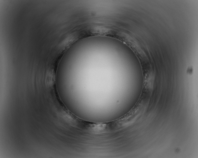 X0000103400474200809121246